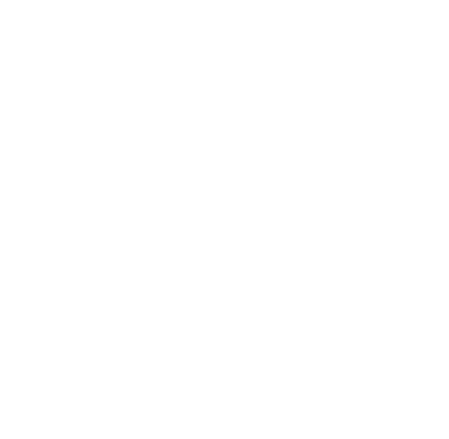 Lavish The Hair Studio